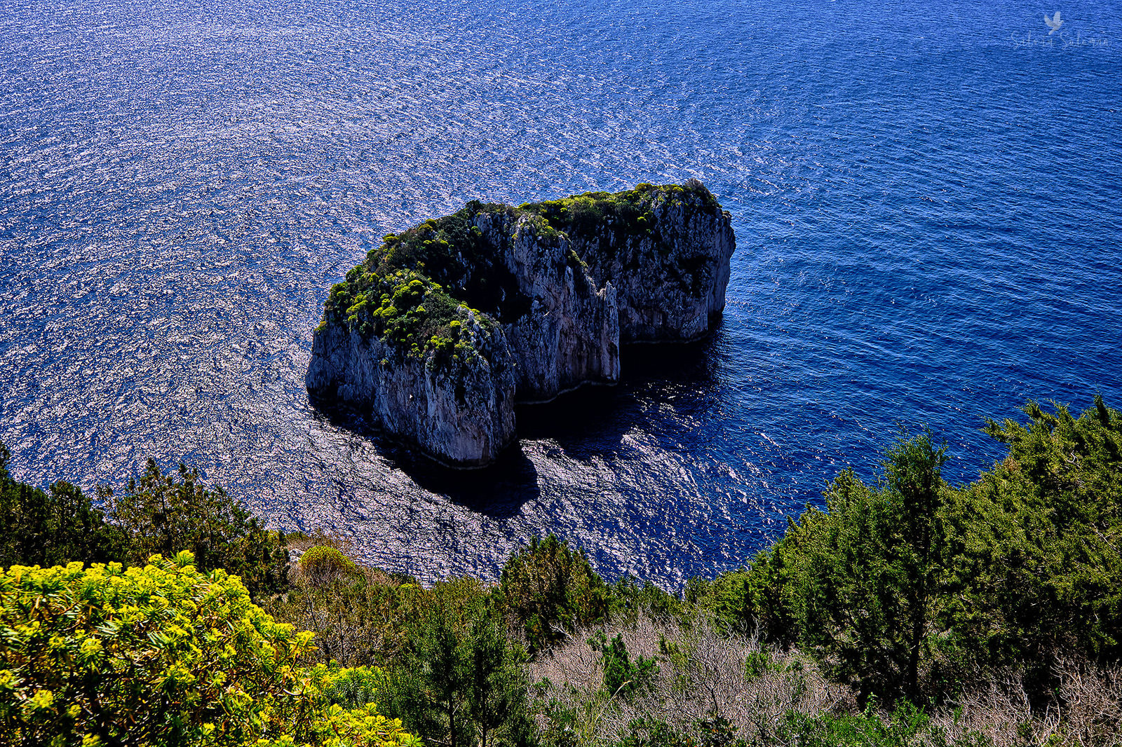 Insula Capri - Calatorie spre Insula Capri din Napoli